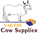 Sakthi Cow Supplier